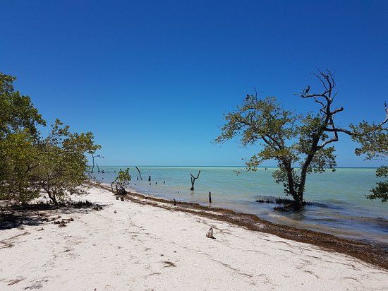 El Refugio Holbox